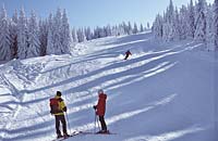 Winterlaub in Mauth-Finsterau im Bayerischen Wald